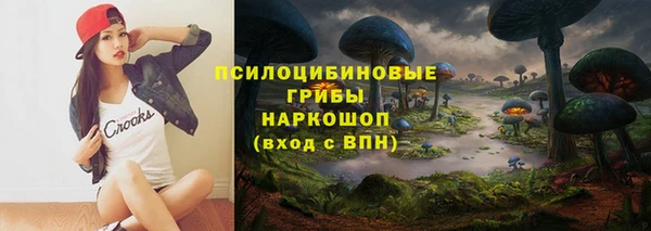 PSILOCYBIN Белоозёрский