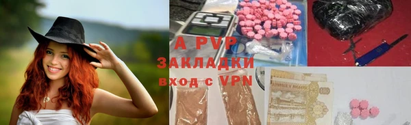 амф Беломорск