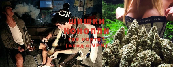 молекула духа Белокуриха