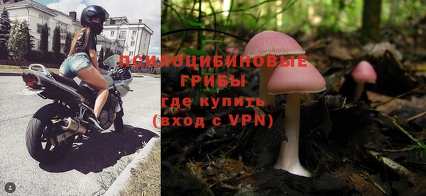 молекула духа Белокуриха