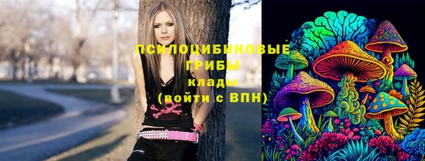 молекула духа Белокуриха