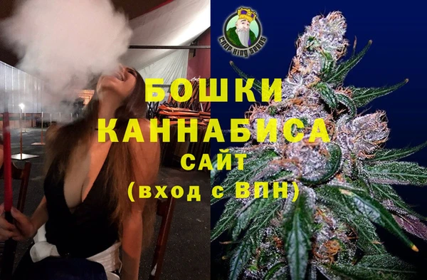 молекула духа Белокуриха