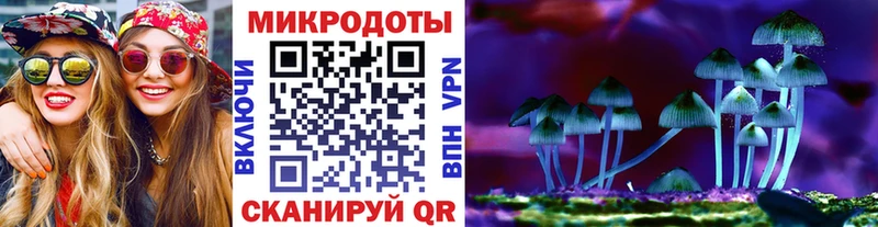 Галлюциногенные грибы Psilocybe  дарк нет наркотические препараты  Волосово 